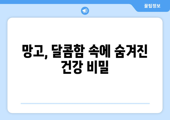 망고 | 맛있고 영양가 높은 8가지 효능