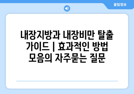 내장지방과 내장비만 탈출 가이드 | 효과적인 방법 모음