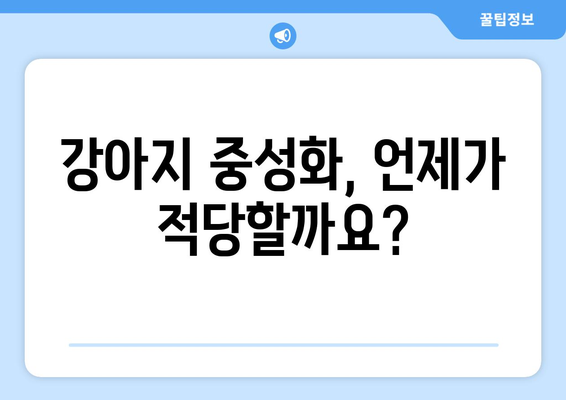 강아지 중성화 수술 | 최적의 시기와 고려 사항