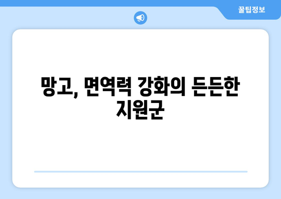 망고 | 맛있고 영양가 높은 8가지 효능