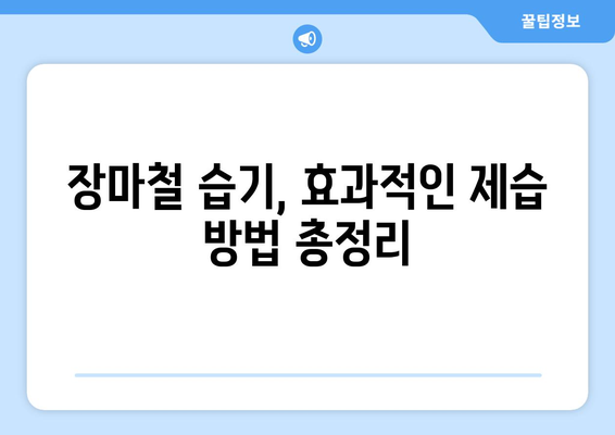 장마철 습기를 퇴치하는 효과적인 솔루션