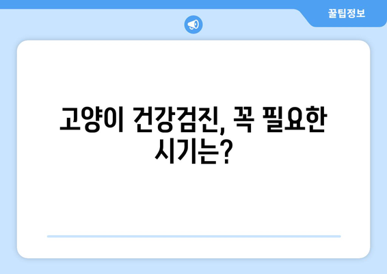 고양이 나이의 계산법과 건강 관리 주기