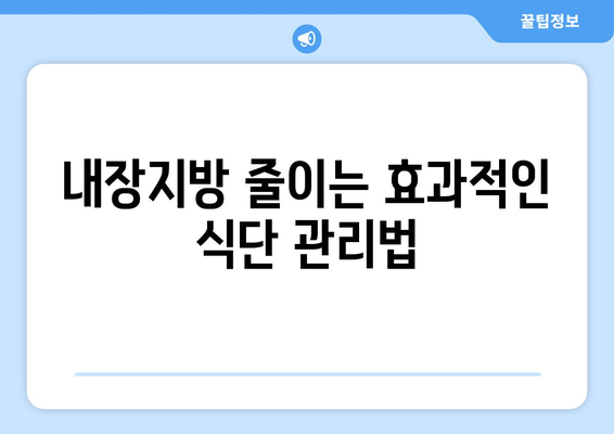 내장지방과 내장비만 탈출 가이드 | 효과적인 방법 모음