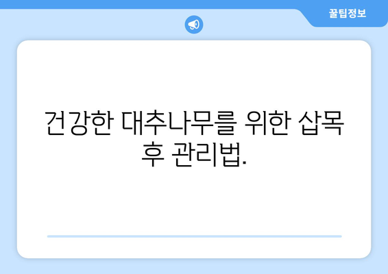 대추나무 삽목 | 단계별 가이드를 통한 간편한 번식