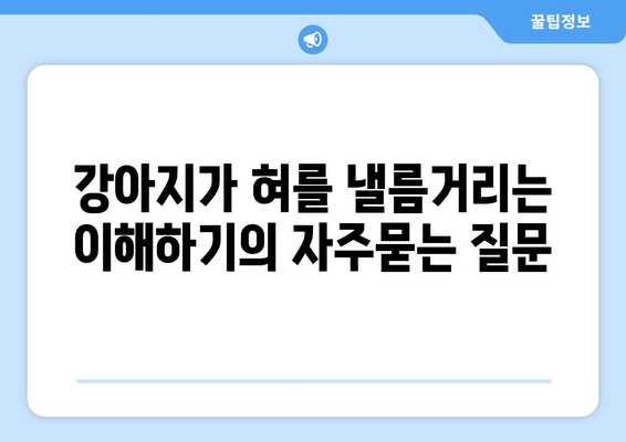 강아지가 혀를 낼름거리는 이해하기