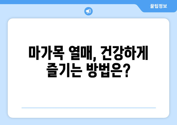 기관지 건강을 위한 필수 식품 | 마가목열매의 6가지 효능