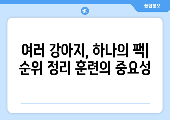 다견 가구에서 강아지 순위 정리 훈련법