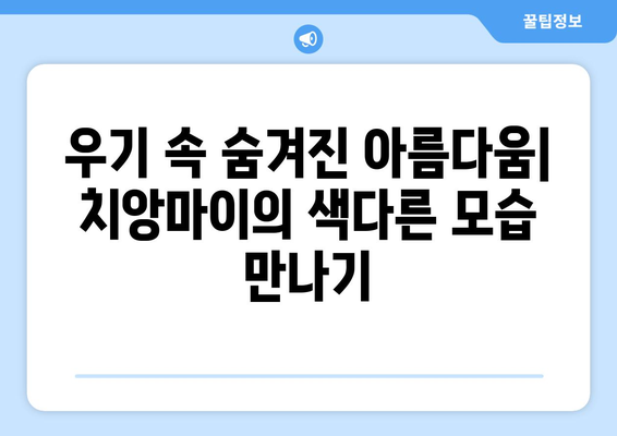 치앙마이 여행에 최적의 시기 가이드