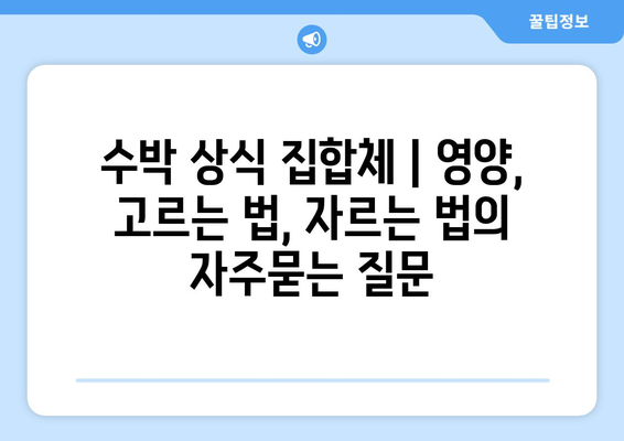 수박 상식 집합체 | 영양, 고르는 법, 자르는 법