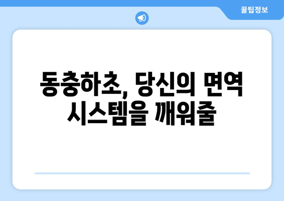 동충하초의 9가지 놀라운 효능으로 면역력 강화