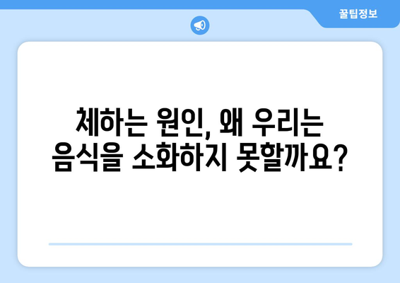 체할 때 대처법 | 원인, 주의 사항, 완화 전략