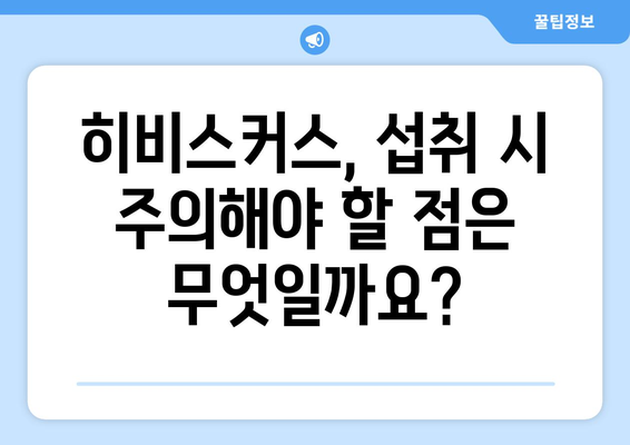 히비스커스의 다양한 건강 효능