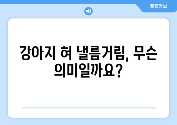 강아지가 혀를 낼름거리는 이해하기