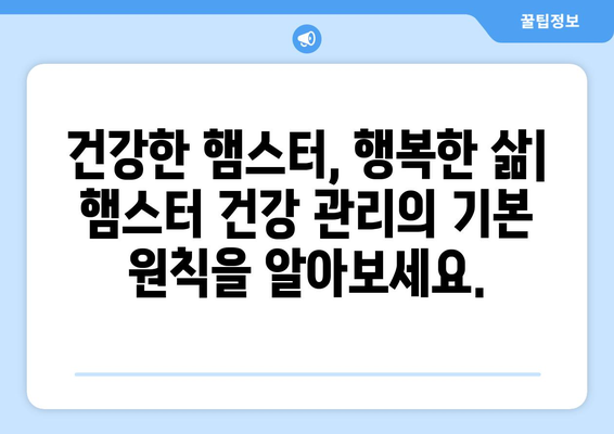 햄스터 건강 관리 가이드 | 장수에 위한 팁