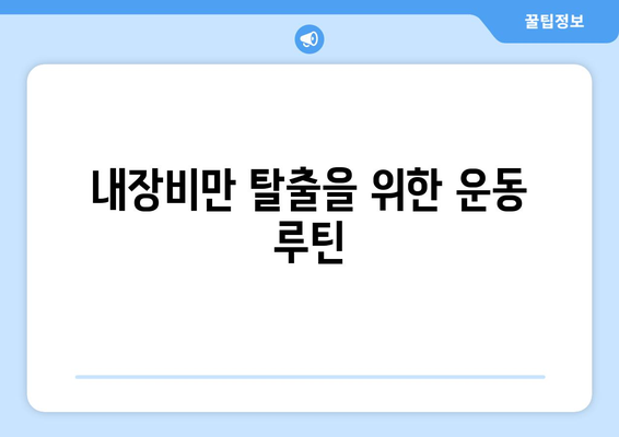 내장지방과 내장비만 탈출 가이드 | 효과적인 방법 모음