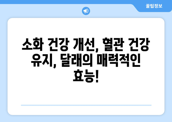 달래의 놀라운 효능 | 7가지 건강 비밀