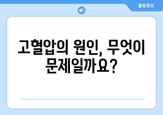 고혈압의 모든 것 | 증상, 원인, 혈압 저하 방법