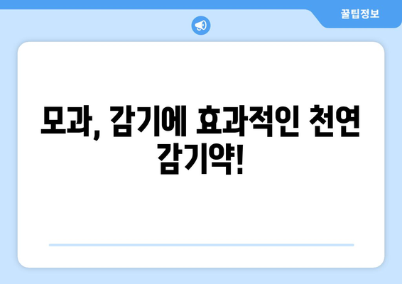 모과의 8가지 놀라운 건강 효과