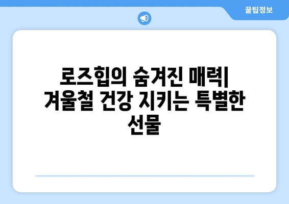 로즈힙 | 건강을 증진시키는 야생 베리의 놀라운 힘