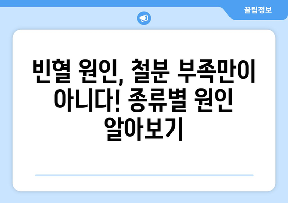 빈혈 | 증상, 원인, 치료법