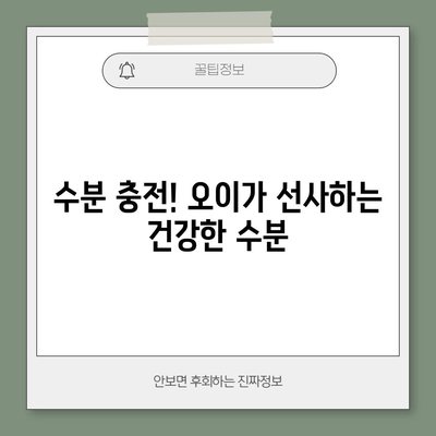 오이의 다양한 건강상 이점과 영양정보