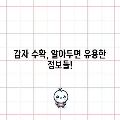 감자 수확 | 시기 및 방법 안내