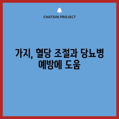 가지의 다양한 건강 효능 | 암 예방부터 소화 개선까지