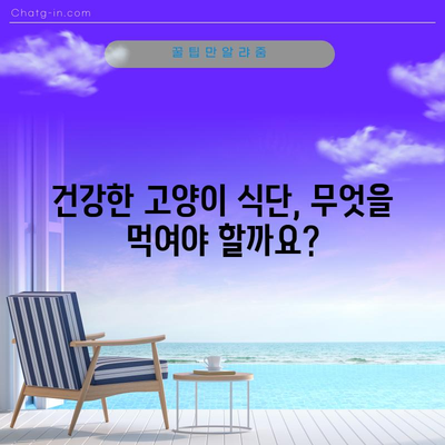 건강한 고양이 식단 | 필수 영양소 10가지
