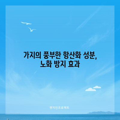 가지의 다양한 건강 효능 | 암 예방부터 소화 개선까지
