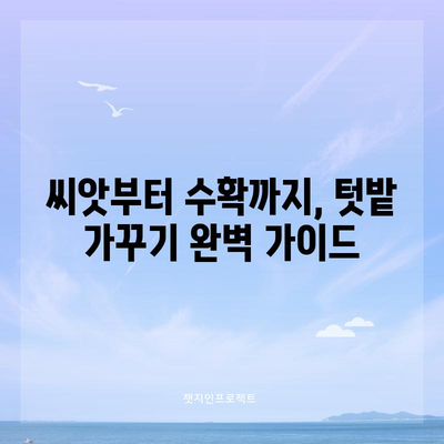 텃밭 전문가가 알려주는 완벽한 파종시기 및 가꾸기 팁