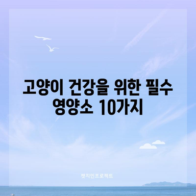 건강한 고양이 식단 | 필수 영양소 10가지