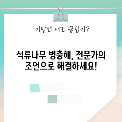 석류나무 병충해 방제 | 올바른 시기와 방법