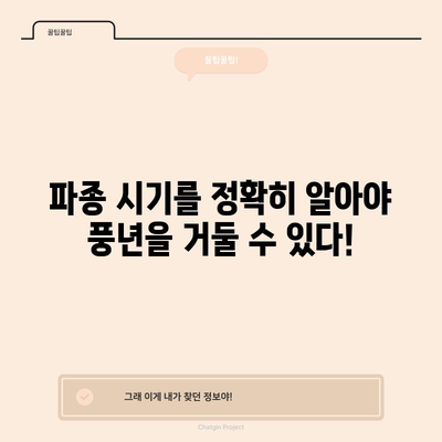 텃밭 전문가가 알려주는 완벽한 파종시기 및 가꾸기 팁