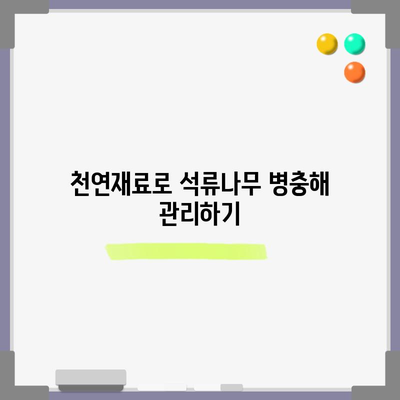 석류나무 병충해 방제 | 올바른 시기와 방법