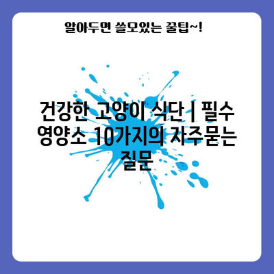 건강한 고양이 식단 | 필수 영양소 10가지