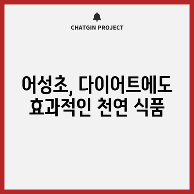 어성초의 다양한 11가지 효능