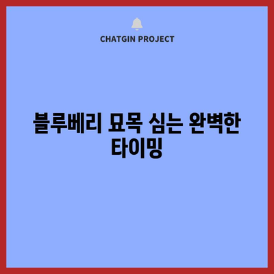 신선한 블루베리 수확을 위한 묘목 심기 안내서