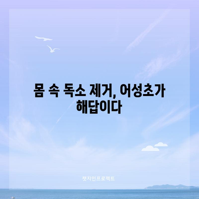 어성초의 다양한 11가지 효능