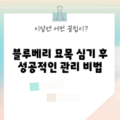 신선한 블루베리 수확을 위한 묘목 심기 안내서