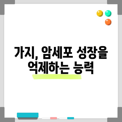 가지의 다양한 건강 효능 | 암 예방부터 소화 개선까지