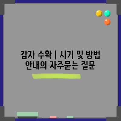감자 수확 | 시기 및 방법 안내