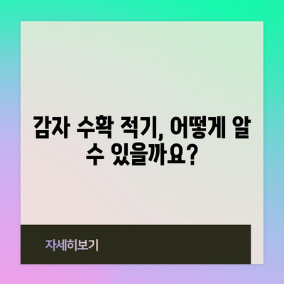 감자 수확 | 시기 및 방법 안내