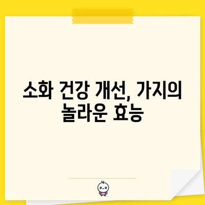 가지의 다양한 건강 효능 | 암 예방부터 소화 개선까지