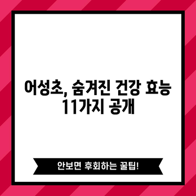 어성초의 다양한 11가지 효능