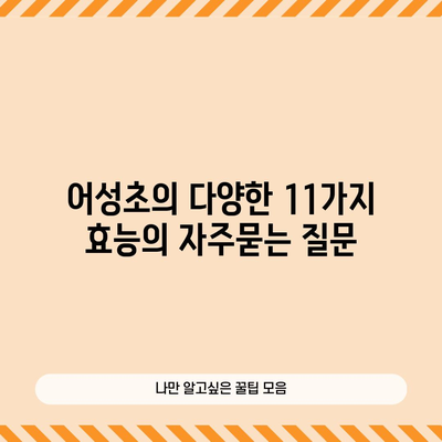 어성초의 다양한 11가지 효능