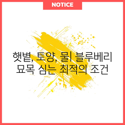 신선한 블루베리 수확을 위한 묘목 심기 안내서