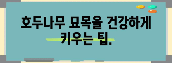 호두나무 묘목 심기 101 | 시기와 방법