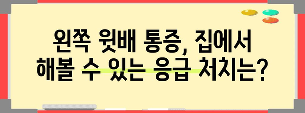 여성 왼쪽 윗배 통증 가이드 | 원인 분석 및 대처법