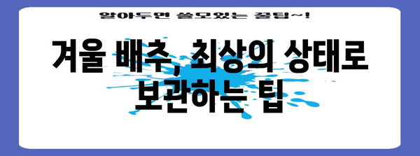 겨울철 배추 보관법 | 싱싱하고 오랫동안 즐기는 방법