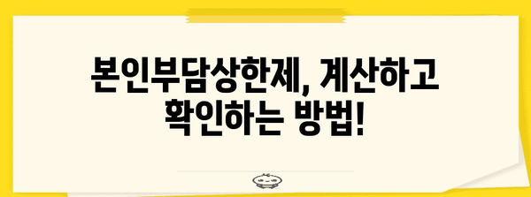 본인부담상한제, 내가 내야 할 의료비는 얼마일까요? | 건강보험, 의료비, 상한액, 계산, 확인